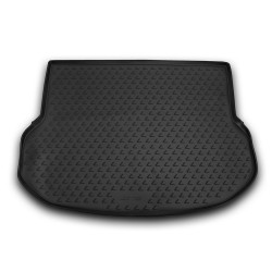 Kadica za gepek LEXUS NX (AZ10), 2014-2020